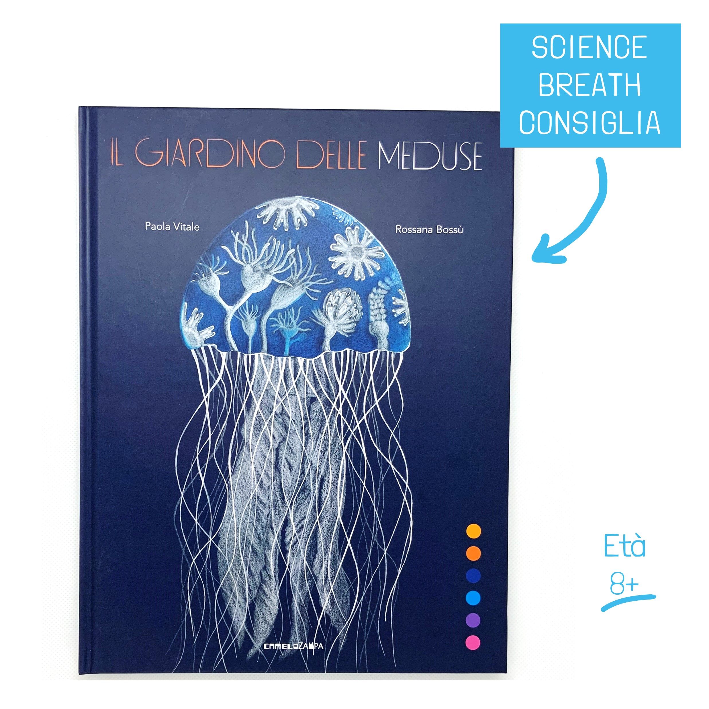 Il giardino delle meduse