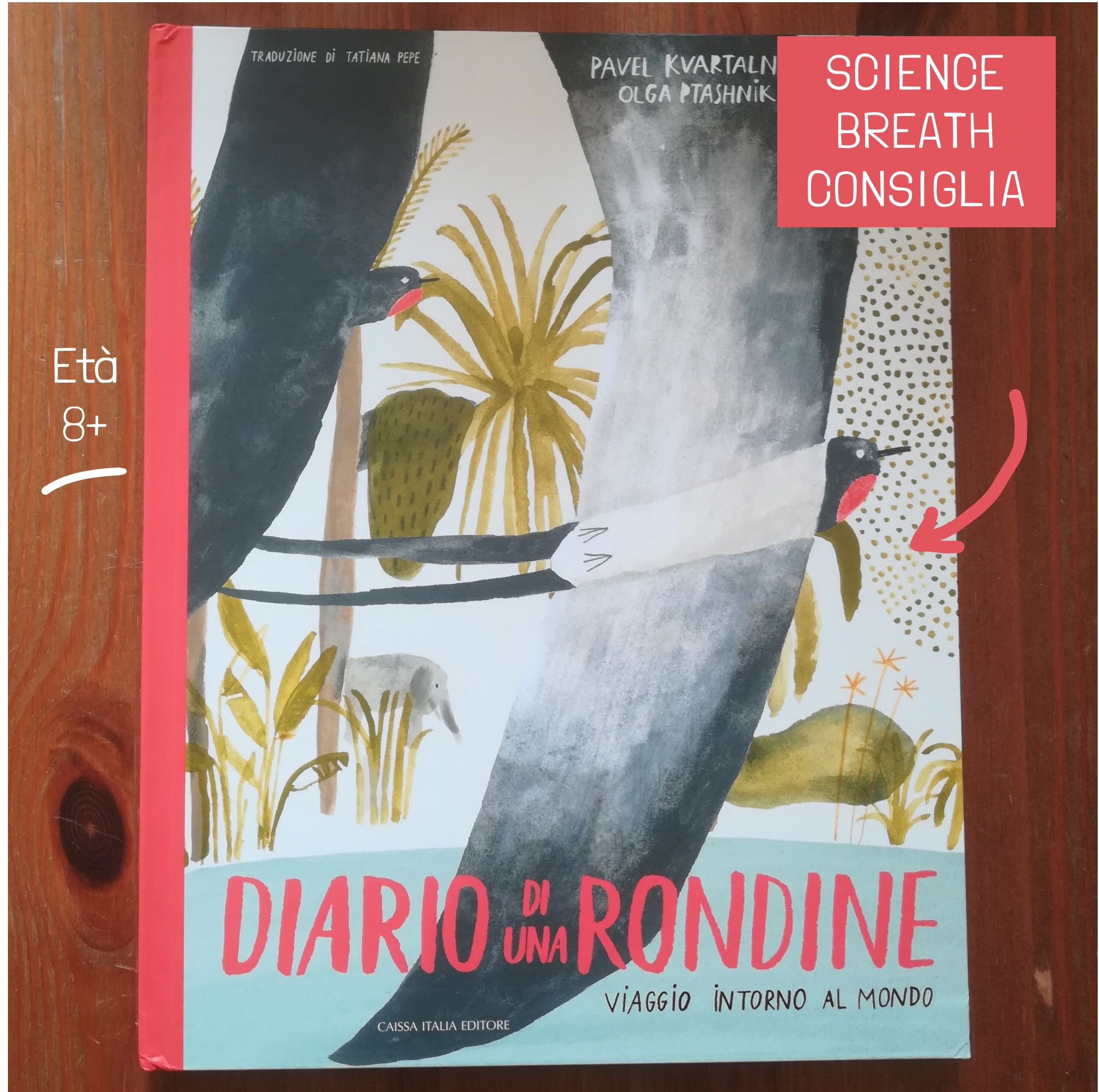Diario di una rondine (Caissa editore)