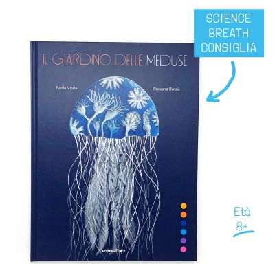 Il giardino delle meduse
