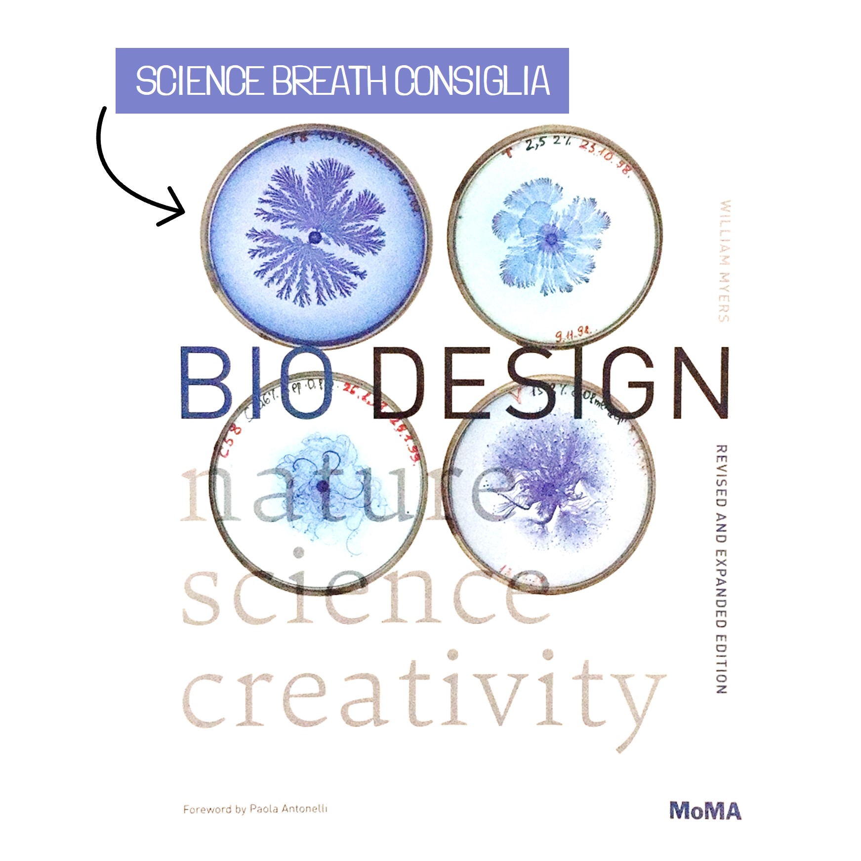 BIODESIGN la creatività ispirata da scienze e natura